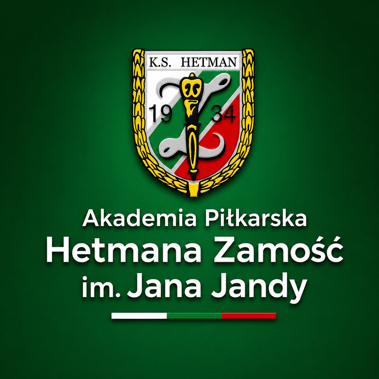 Akademia Piłkarska Hetmana Zamość